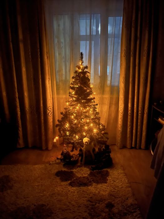 Новогодняя Ёлочка / Ёлка / Елка на новый год