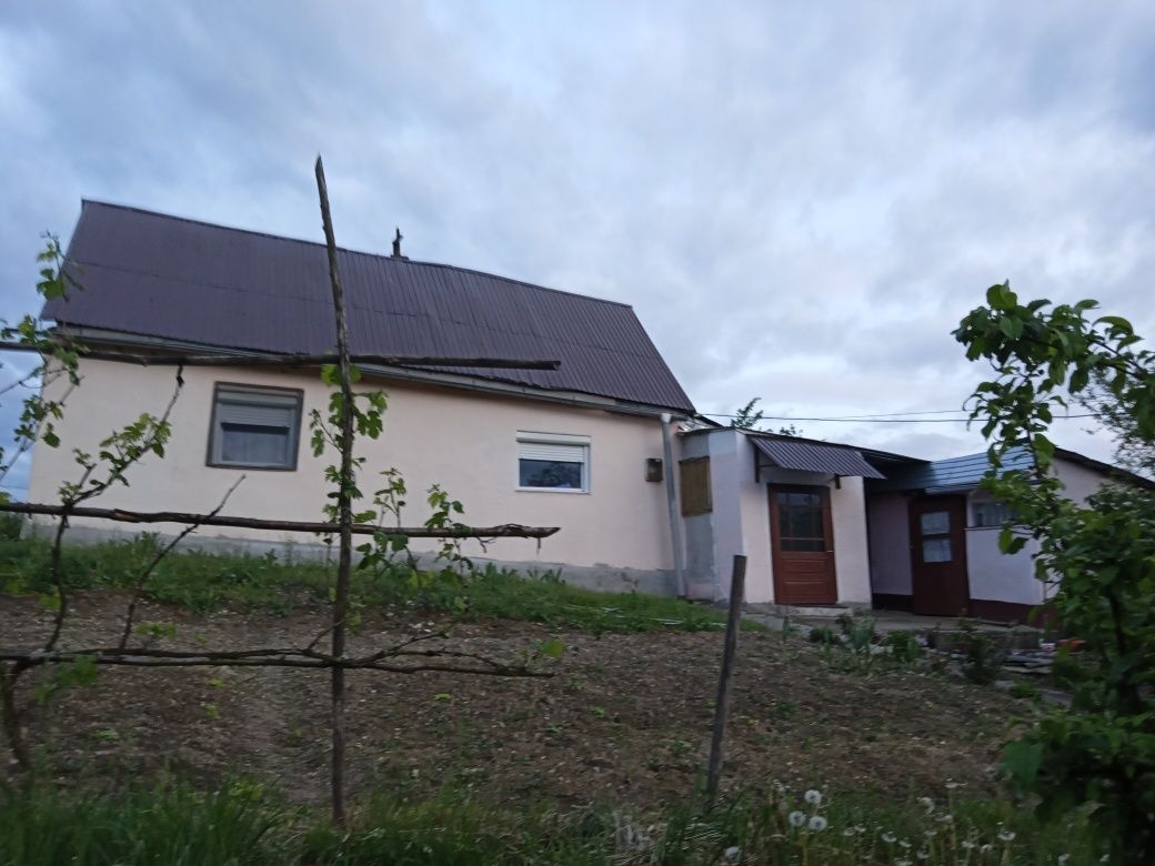 Vând casă cu gradina