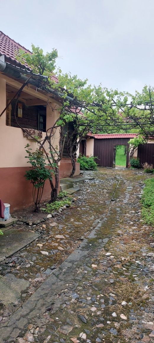 Vând casa in sat vale Săliște