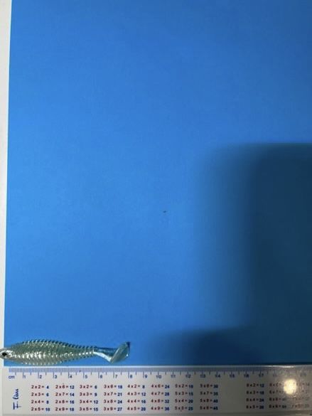 Тамъки - DeepFiish