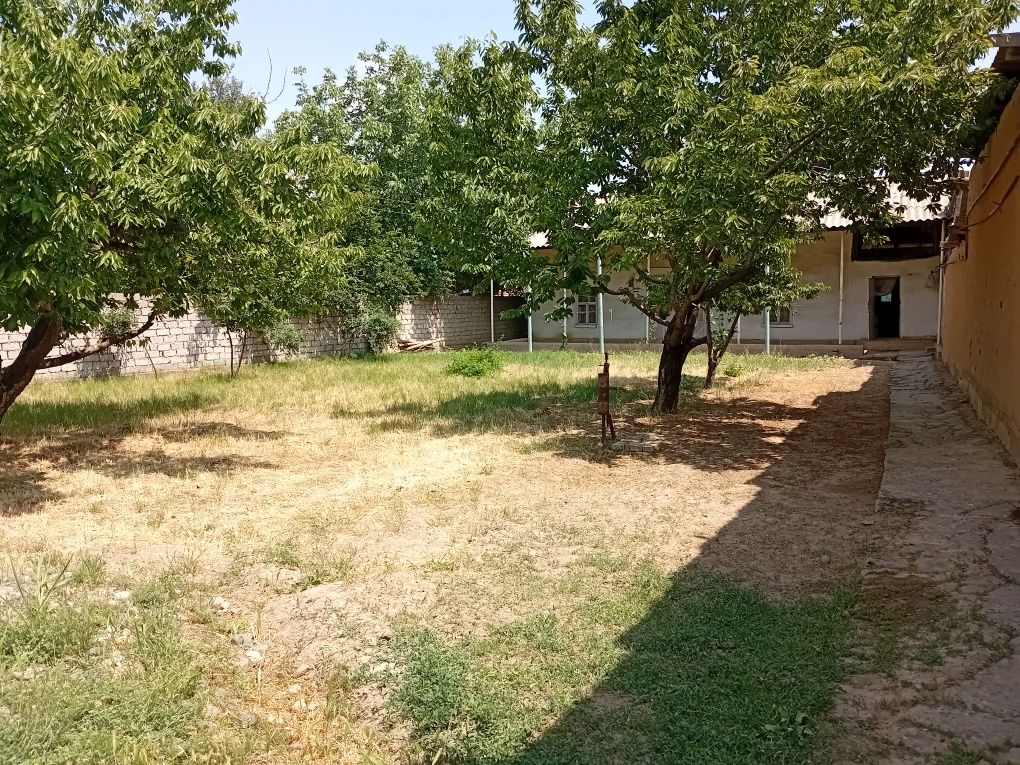 Tashkent violation qibray tumani uymovut mahallasi