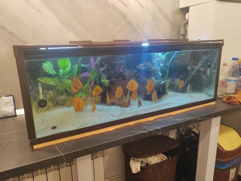 Vând acvariu 200 litrii