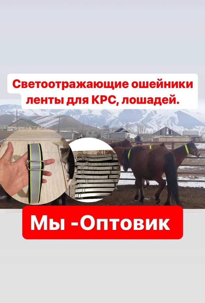 Ошейник со светоотражающей лентой Доставка по РК