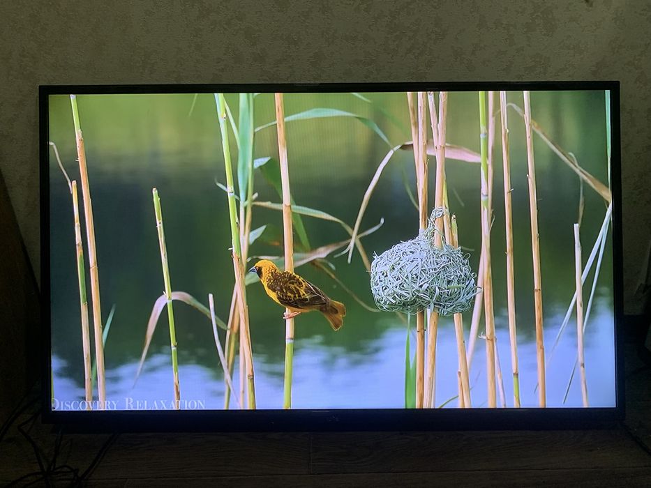 Самсунг 50 телевизор