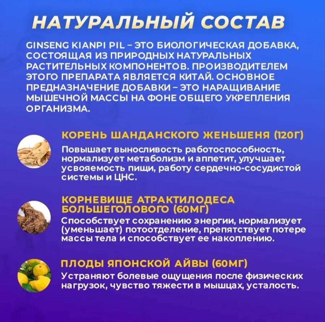 Ginseng kianpi pil semirish