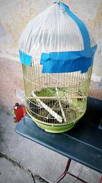 Cușcă papagali de vânzare
