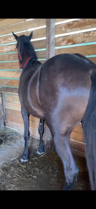 Vând sau schimb unde e cazul ofer diferență !