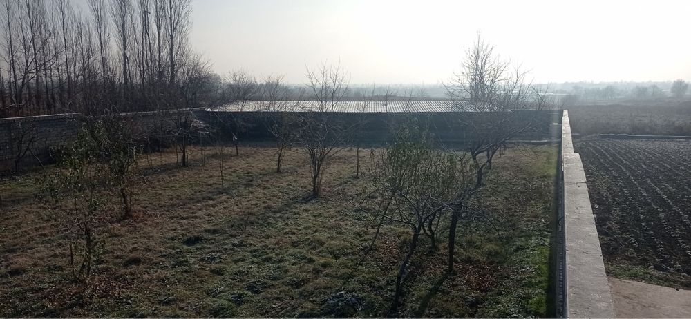 Yangiyolda hovli sotiladi 20 sotix