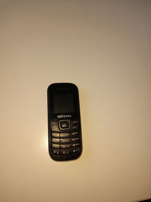 Telefon Samsung Duo