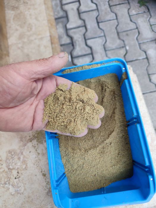 Vand turta  din seminte de dovleac bune pentru pescuit