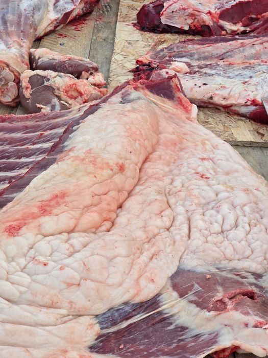 Сатам соғым . Продам согым .