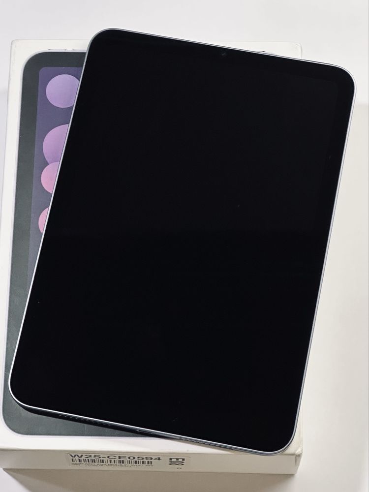 iPad mini 6th Gen 256GB