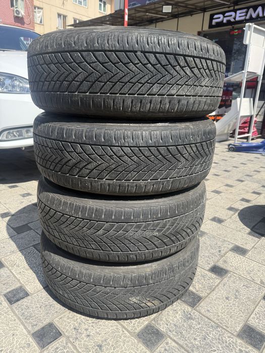 Monza diska yumwo balonlari bn xolati ortacha aybi yo obmen bor