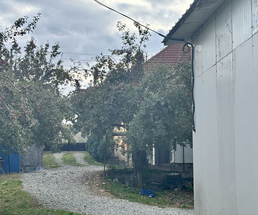 Proprietate completa: casa, hala si teren generos!