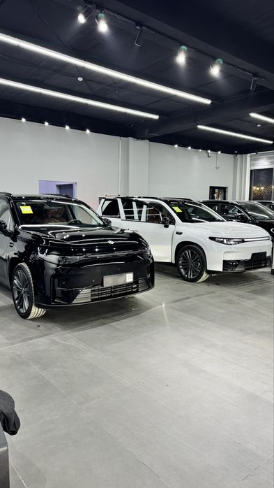 Leapmotr c16 electir gibrid 630 va 280 max