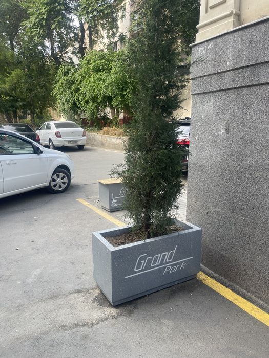 Sikameka va urnalar gul tuvaklar