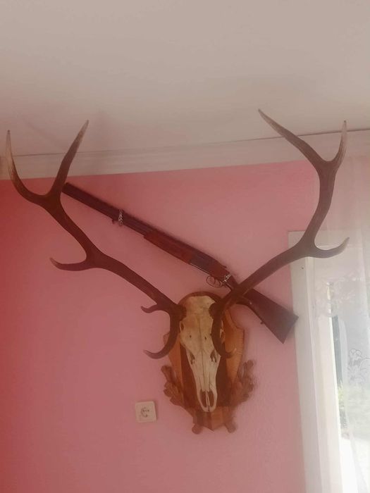 Голям ловен трофей.