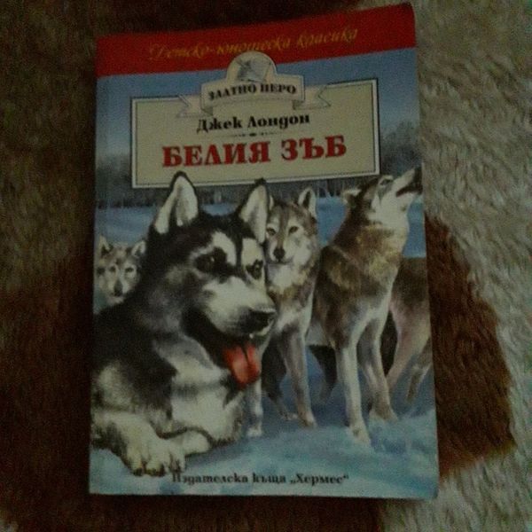 Интересни детски книжки