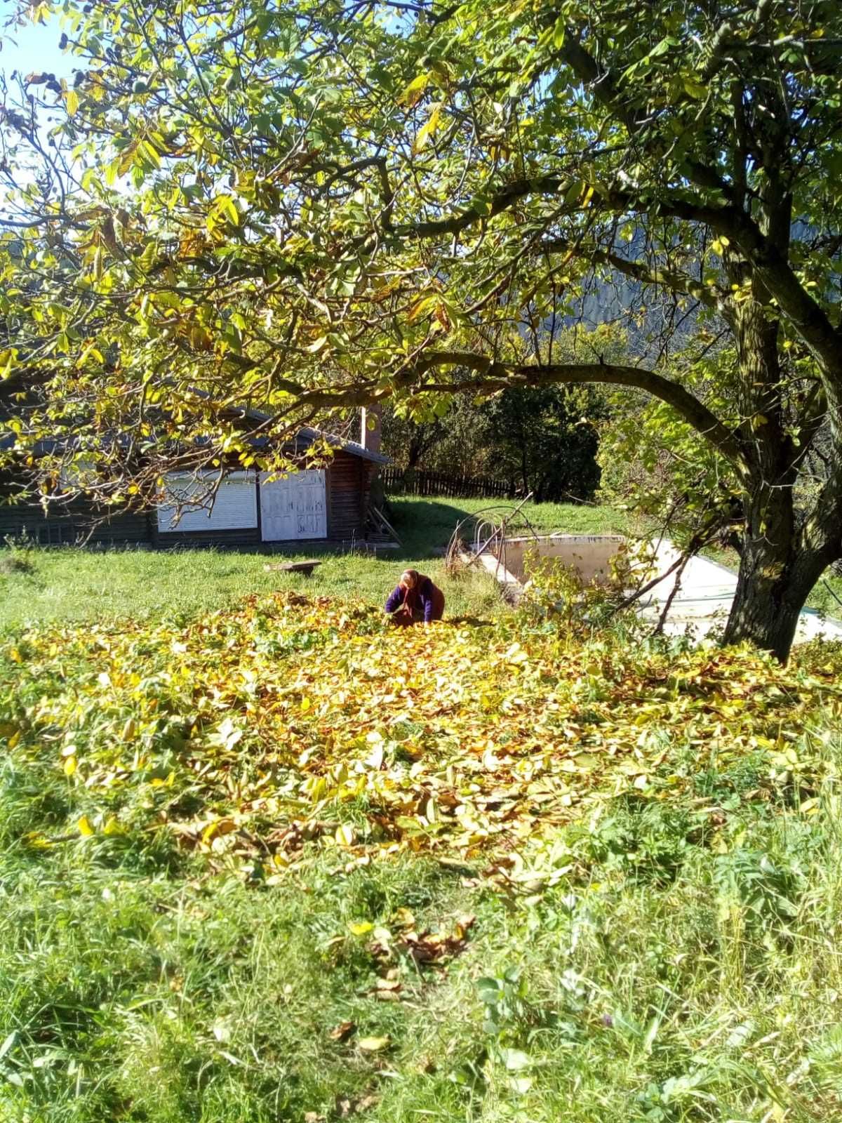 Casa Hangu cu etaj si piscina ideală vacanta