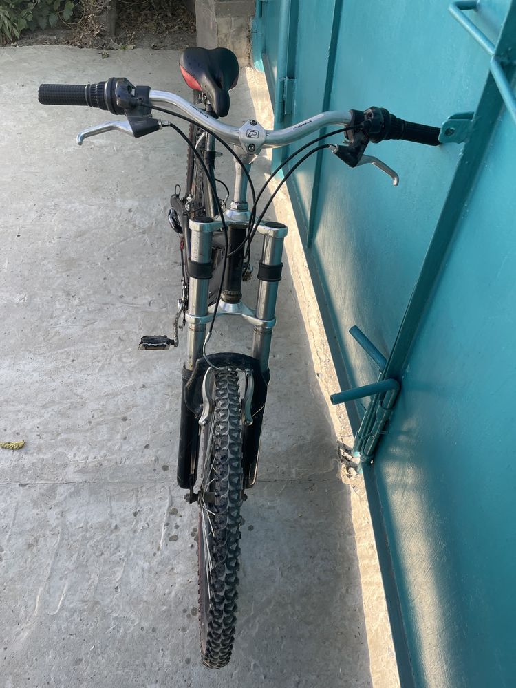 Вилик жағдай өте жақсы