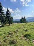 P.F. Vand 5355 Mp. teren INTRAVILAN in Belis sat Balcesti