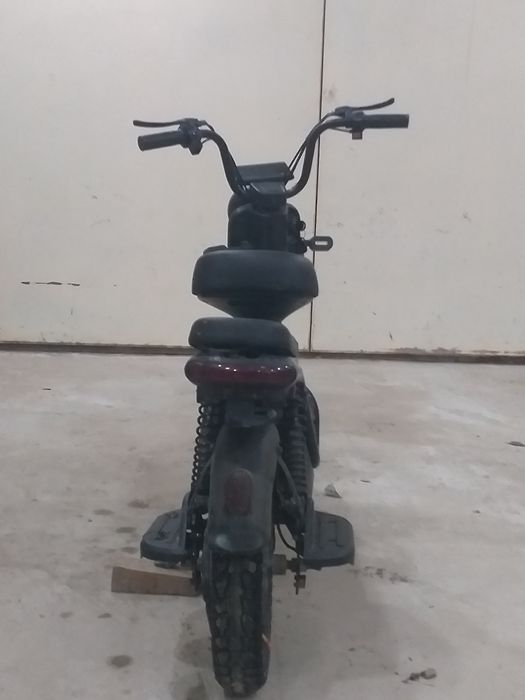 Elektr skuter holati zo'r