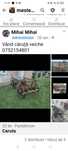 Car rustic veichi