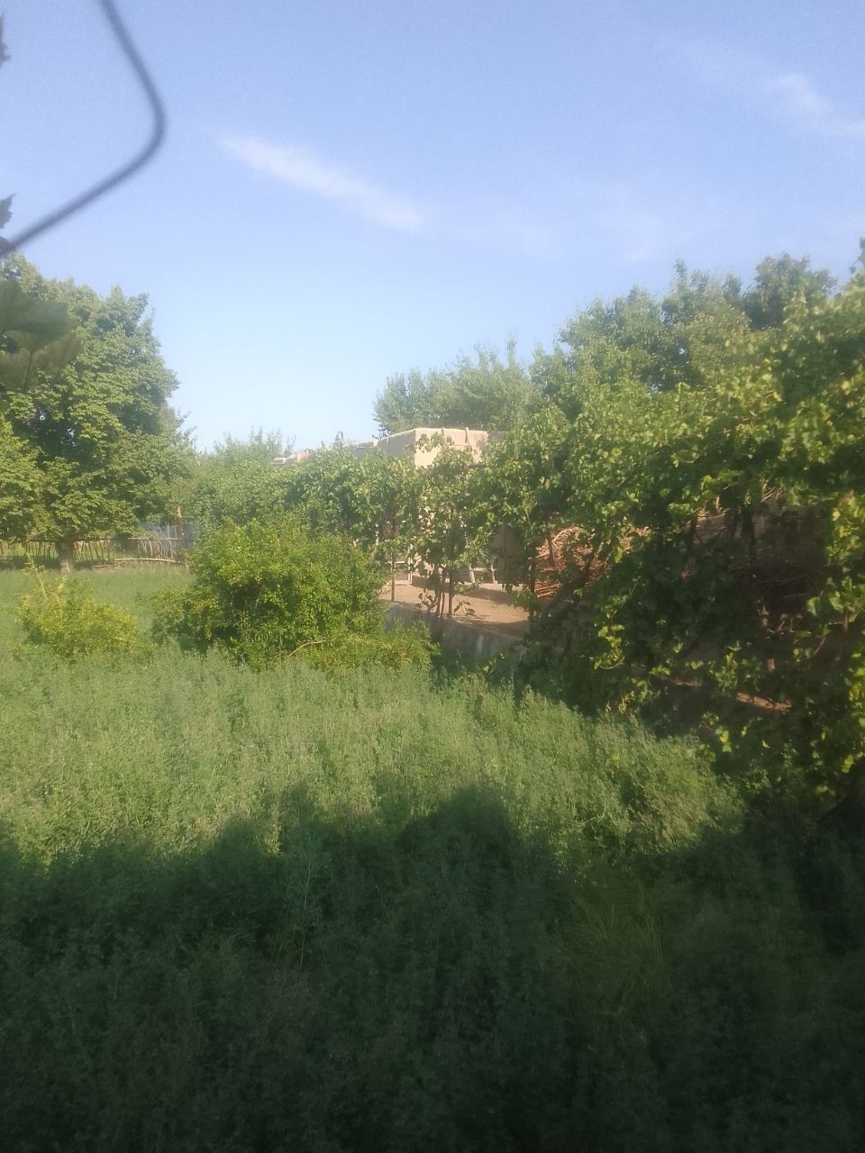 Hovli sotiladi arzon