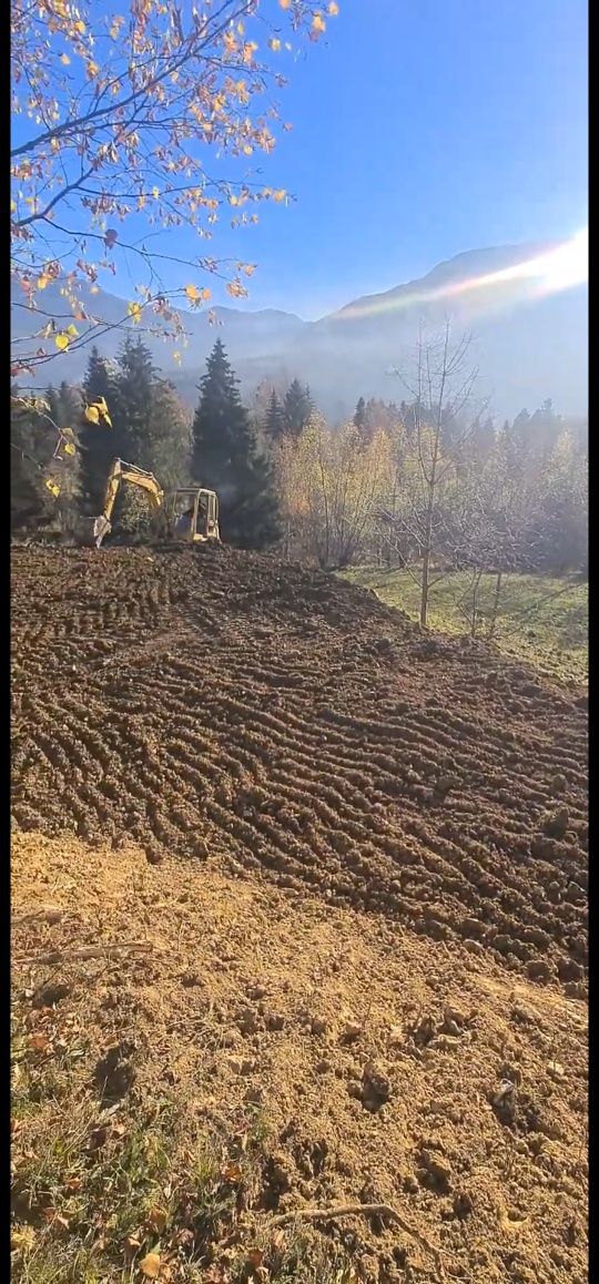 Teren intravilan 4000mp Borșa Maramures