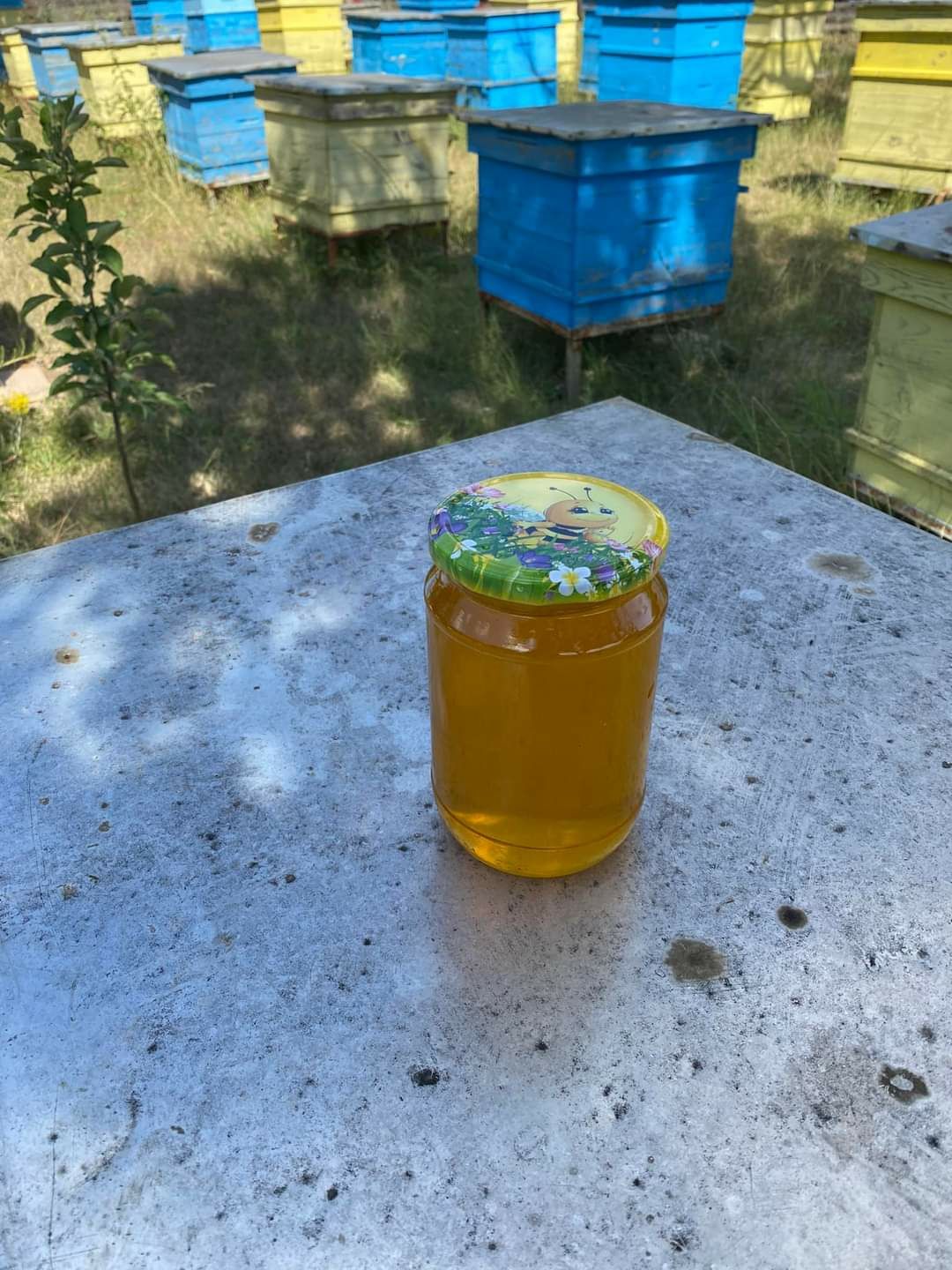 Продавам пчелен мед