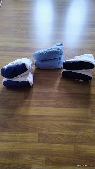 Botoșei cu puf de casa