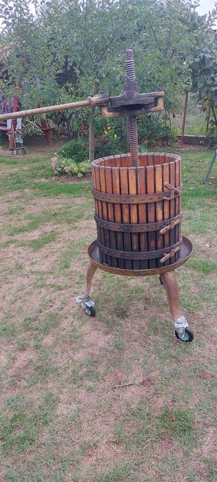 Teasc struguri 100 litrii import Italia