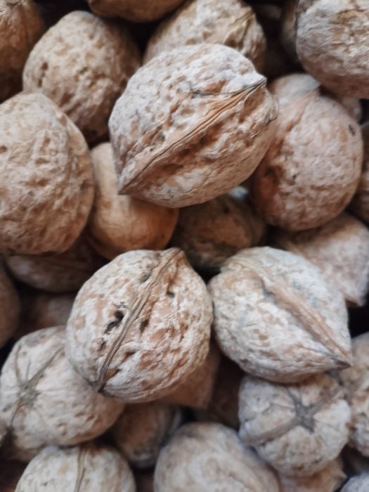 Продам орехи нового урожая