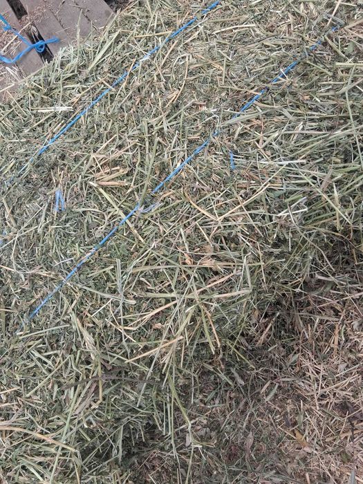 Vand baloti de lucerna