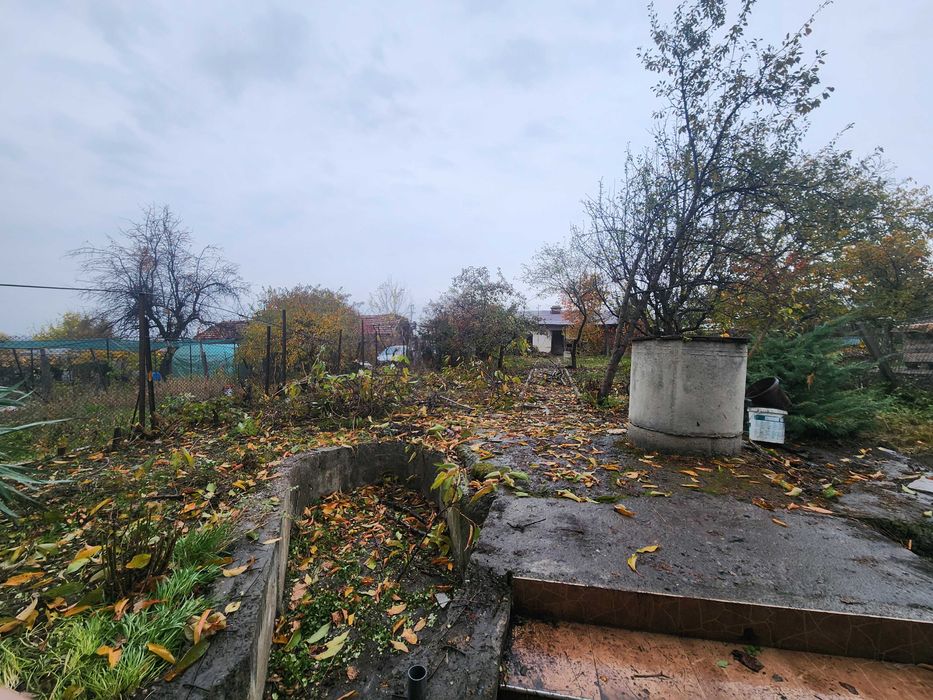 Рязане на Опасни Дървета