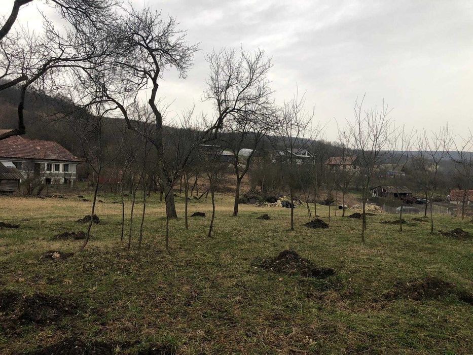 De Vânzare Teren Intravilan – 6.600 mp – Bădești, Jud. Cluj