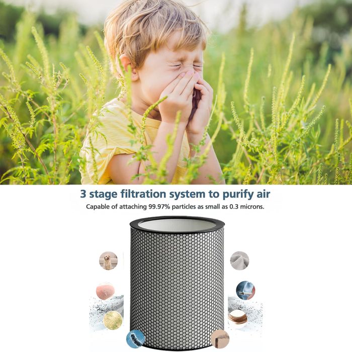 Dyson BP04 Filter komplekt , Дайсон бп04 фылтр