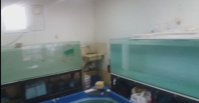 Аквариумы в хорошем состоянии. Продаю свои Аквариумы с водой