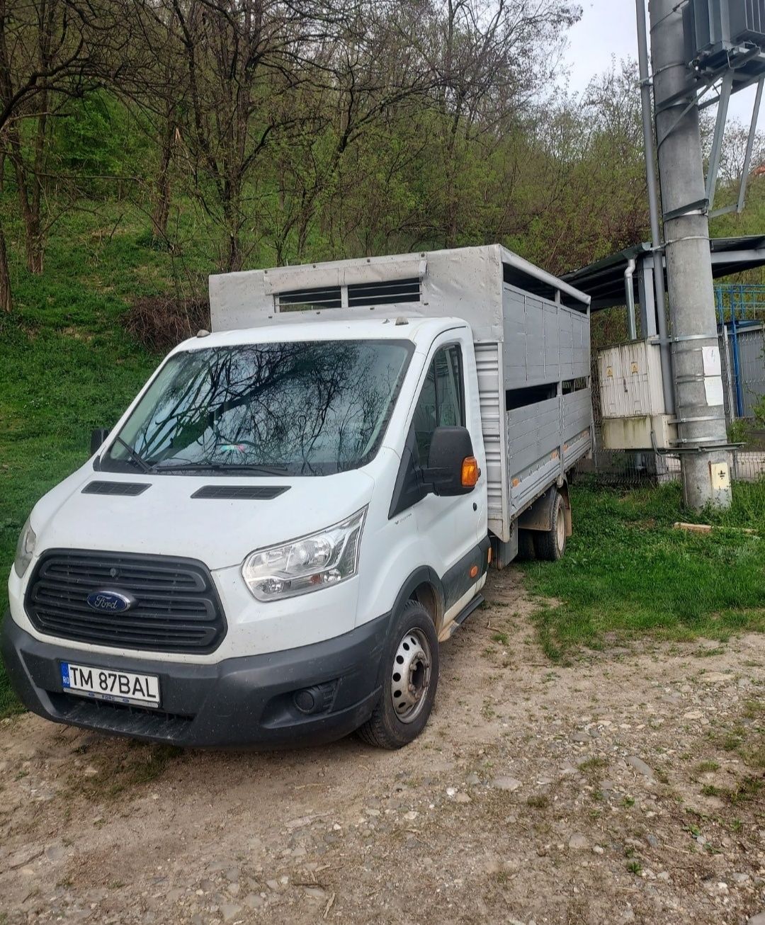 Vand Ford Transit transport animale