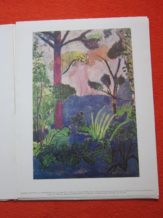 cadou deosebit rar Matisse  Marocco 4 bucati