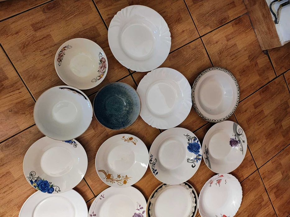 Farfurii cani castron vase farfurie