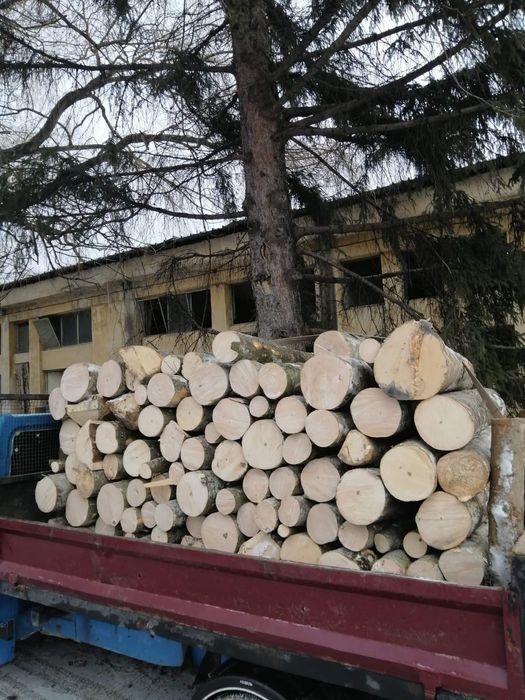 Lemn de foc esență tare