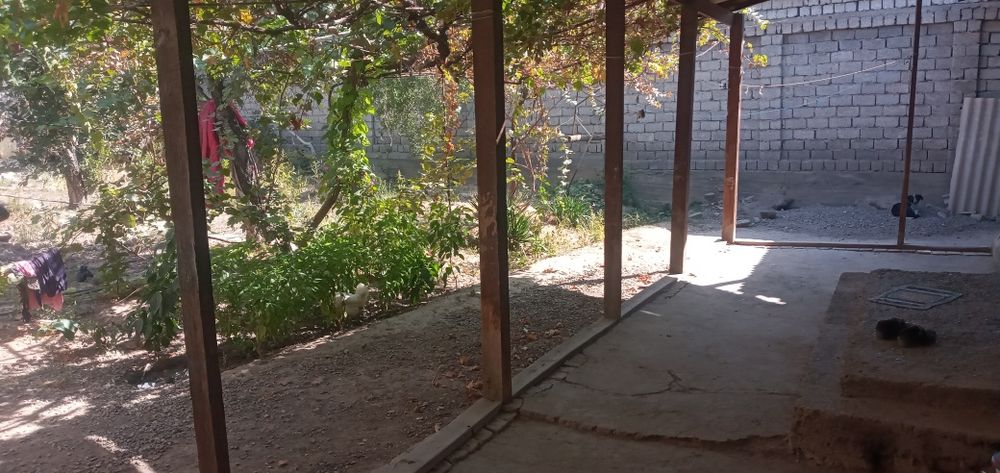 Рахметовасветлана