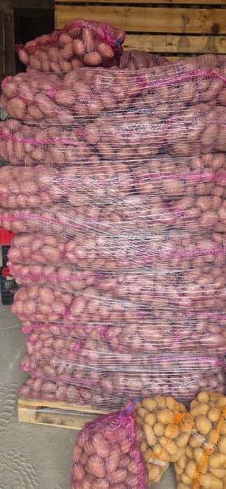 Cartofi Polonia rosii / albi si diferite legume