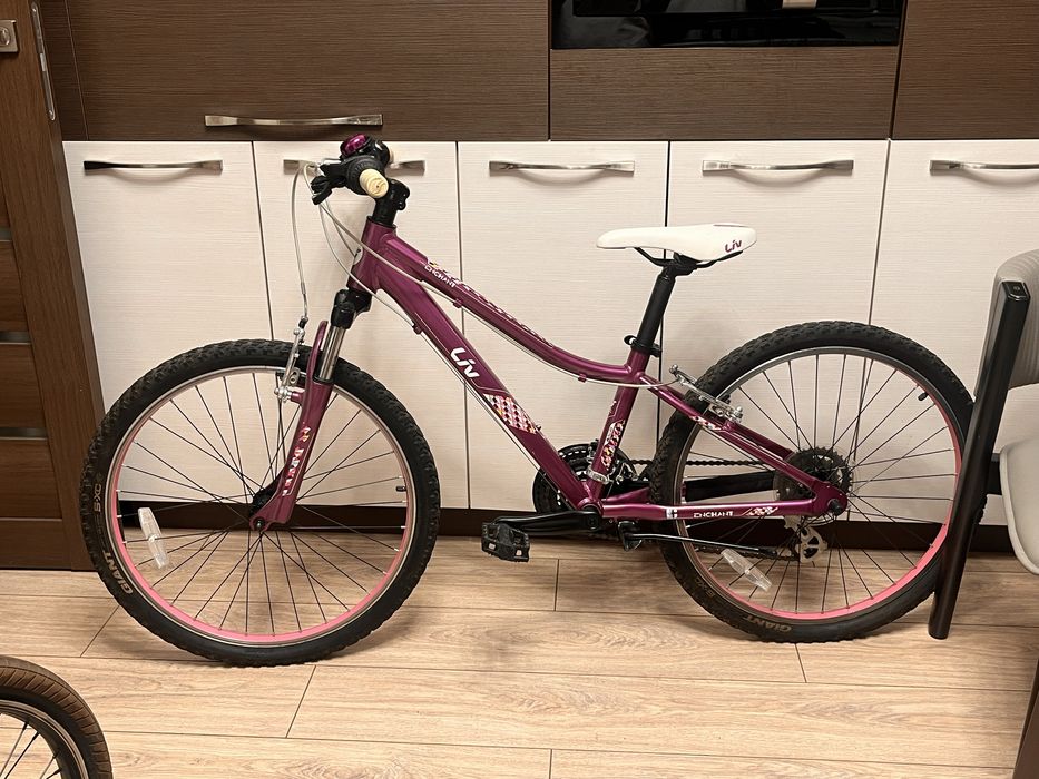 Велосипед Liv Enchant
