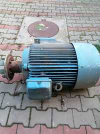 Motor electric trifazic 37 kw și 1000 rotații