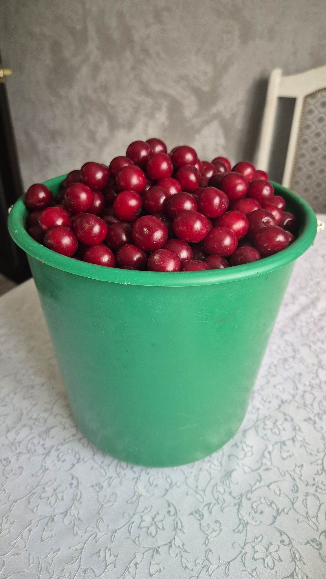 Продам вишню крупную