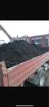 Pamant negru vegetal