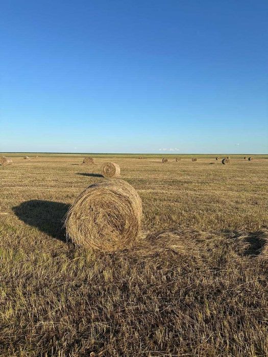 Продам сено рулон, Шоп Сатам, село Маншук. Астана