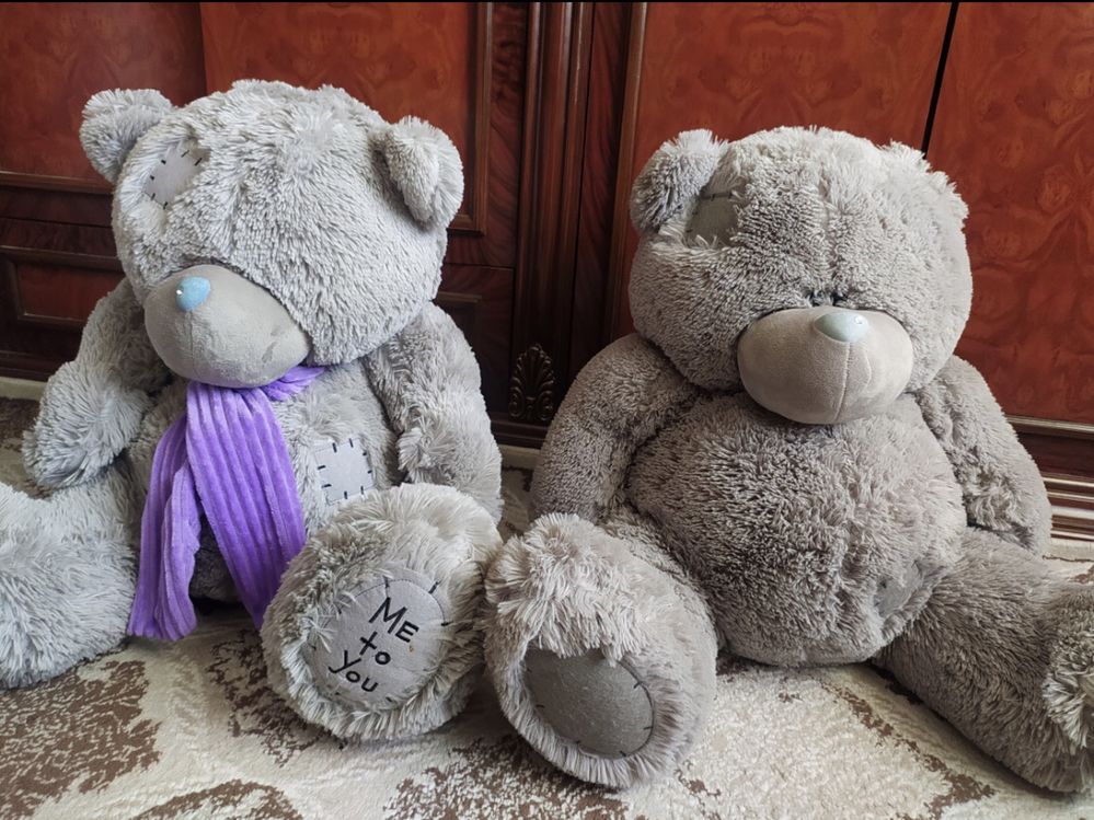 Teddy ayiq holati yengi